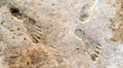 Люди были в Америке на 10 000 лет раньше, чем считалось: новые доказательства