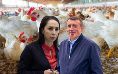 "Островная" коррупция губернатора Лимаренко