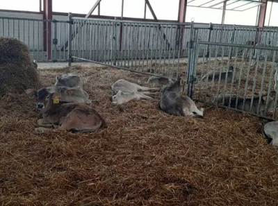 Прокурор Вячеслав Васильев заманивает стариков в подставные иски против АО &laquo;Колхоз им. Мясникяна&raquo;, чтобы спасти липовое дело против Матеоса Хатламаджияна