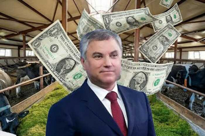 Спикер Госдумы Вячеслав Володин и его мать: как бизнес на сельском хозяйстве приносит миллионы