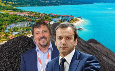 Дворковичи "прибрали" за Мисеврой