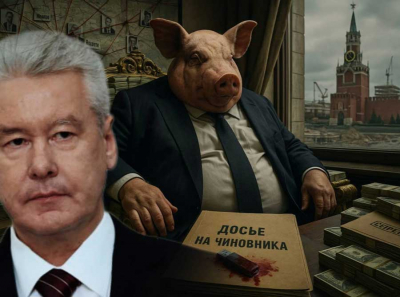 Дубинки вместо закона: Собянин и Сергунина уничтожают Лосиный остров под асфальт и репрессии