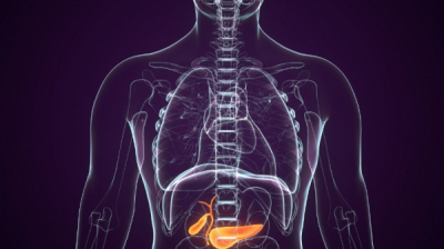 Сочинская гостиница акопа депоняна, связи с экс-министром михаилом хубутия и криминальный бэкграунд: чем заплатит судья шепель за семейный бизнес