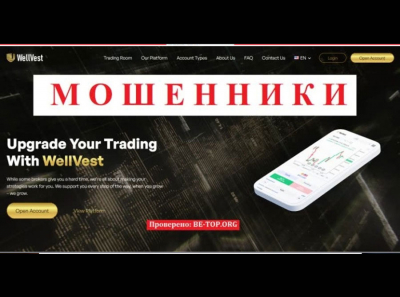 Мошеннические схемы от WellVest: отзывы клиентов, обзор