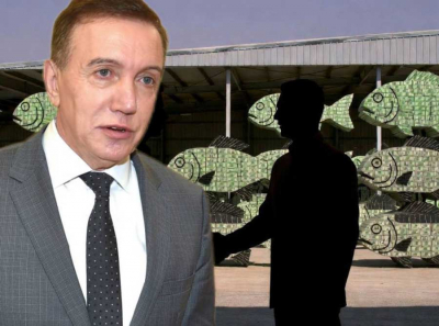 Как Аркадий Мкртычев и Мазунин отмывали бюджет: дамба из мусора, дрова втридорога и гранты в карман