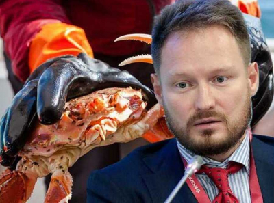 Приморские лендлорды от Винни-Пуха до Глеба Франка