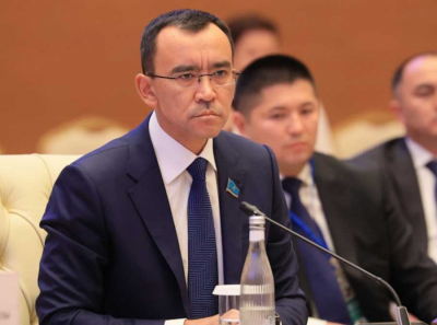 Сам в это верит? Комментарий к логике реформ Маулена Ашимбаева